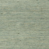Maranta Arrowroot, Teal