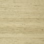 Maranta Arrowroot, Beige