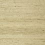 Maranta Arrowroot, Beige