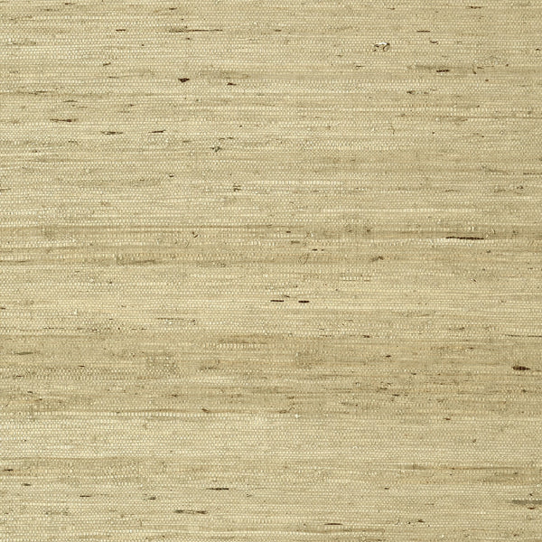 Maranta Arrowroot, Beige Wallcoverings | Thibaut