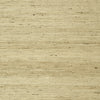 Maranta Arrowroot, Beige