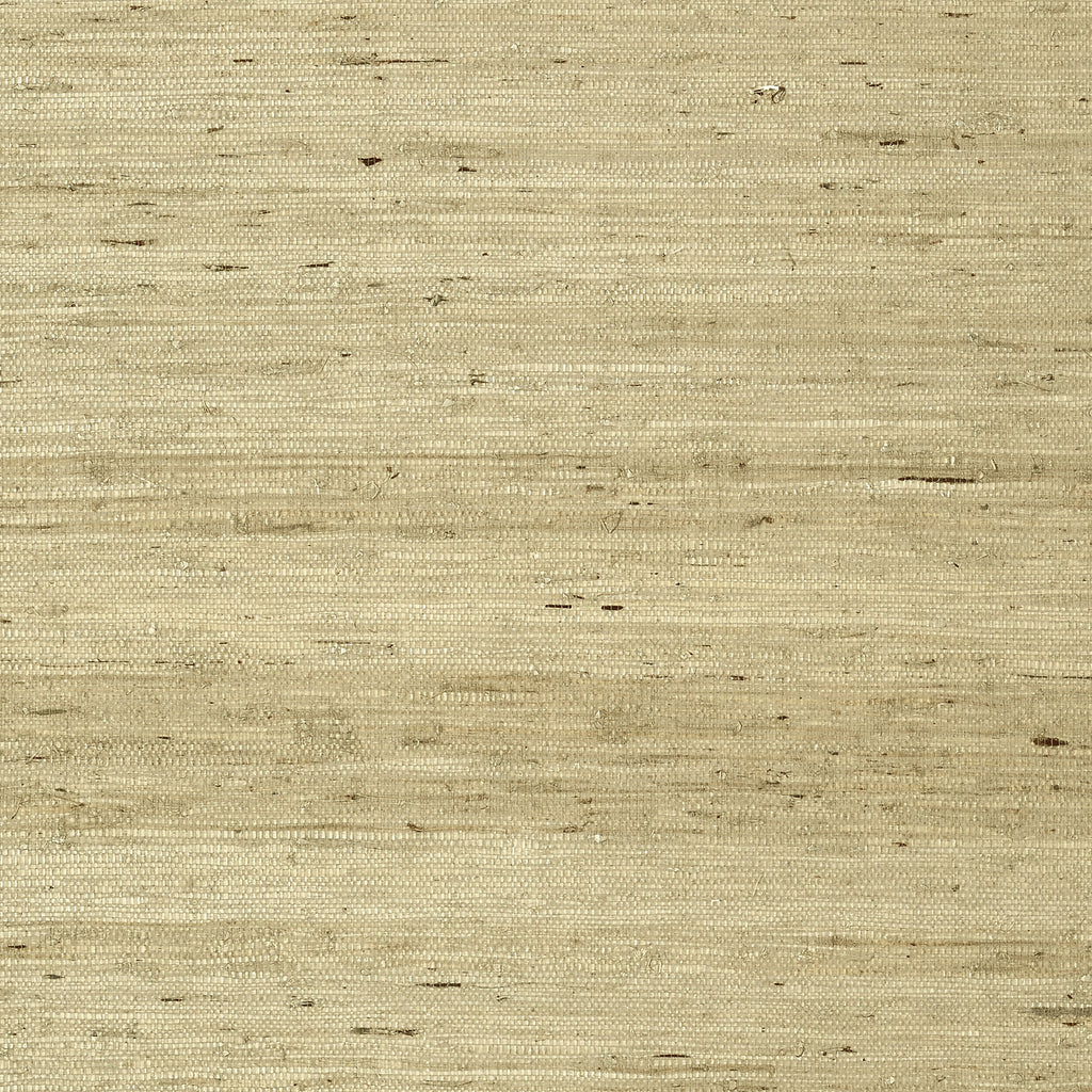 Maranta Arrowroot, Beige