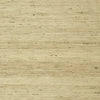 Maranta Arrowroot, Beige