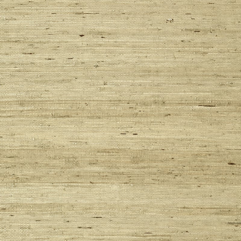 Maranta Arrowroot, Beige