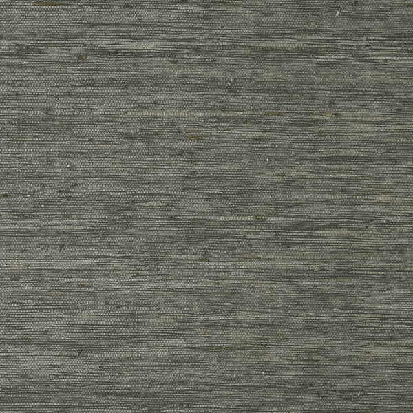 Maranta Arrowroot, Black Wallcoverings | Thibaut