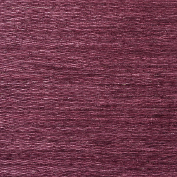 Maranta Arrowroot, Burgundy Wallcoverings | Thibaut