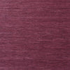 Maranta Arrowroot, Burgundy