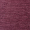 Maranta Arrowroot, Burgundy