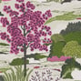 Daintree, Fuchsia