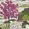 Daintree, Fuchsia