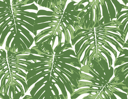 Sage Lattice - Laurel Mist | Malibu Wallcovering
