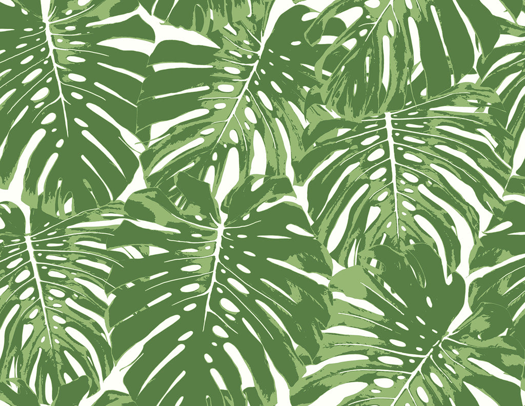 Malibu Jamaica Wallpaper - Coastal Botanical - Basil Green and White | Malibu Wallpaper