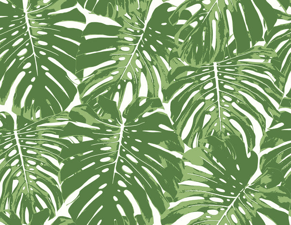 Malibu Jamaica Wallpaper - Coastal Botanical - Basil Green and White | Malibu Wallpaper