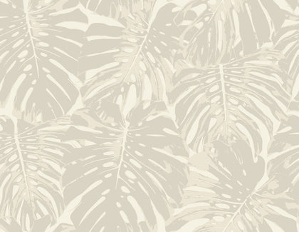 Sage Lattice - Driftwood Bluff | Malibu Wallcovering