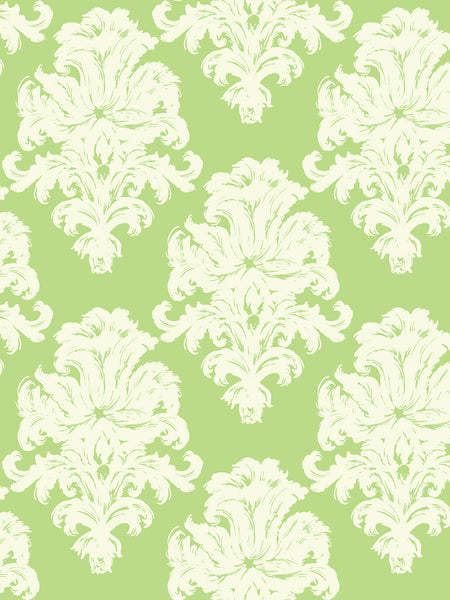 Malibu Montserrat Wallpaper - Coastal Damask - Olive Green and Off-White | Malibu Wallpaper