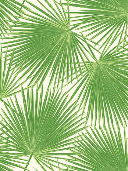 Driftwood Lattice - Pacific Haze | Malibu Wallcovering