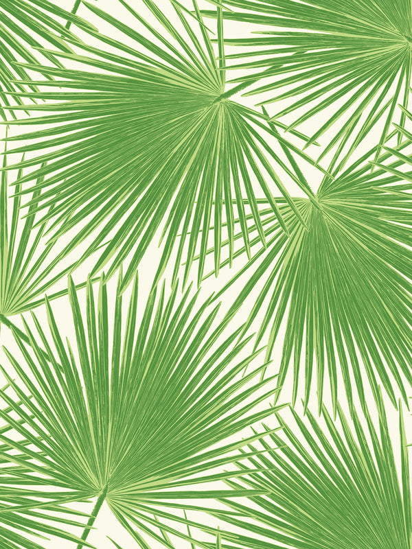Driftwood Lattice - Pacific Haze | Malibu Wallcovering
