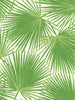 Malibu Aruba Wallpaper - Coastal Palm - Fern Green and White | Malibu Wallpaper