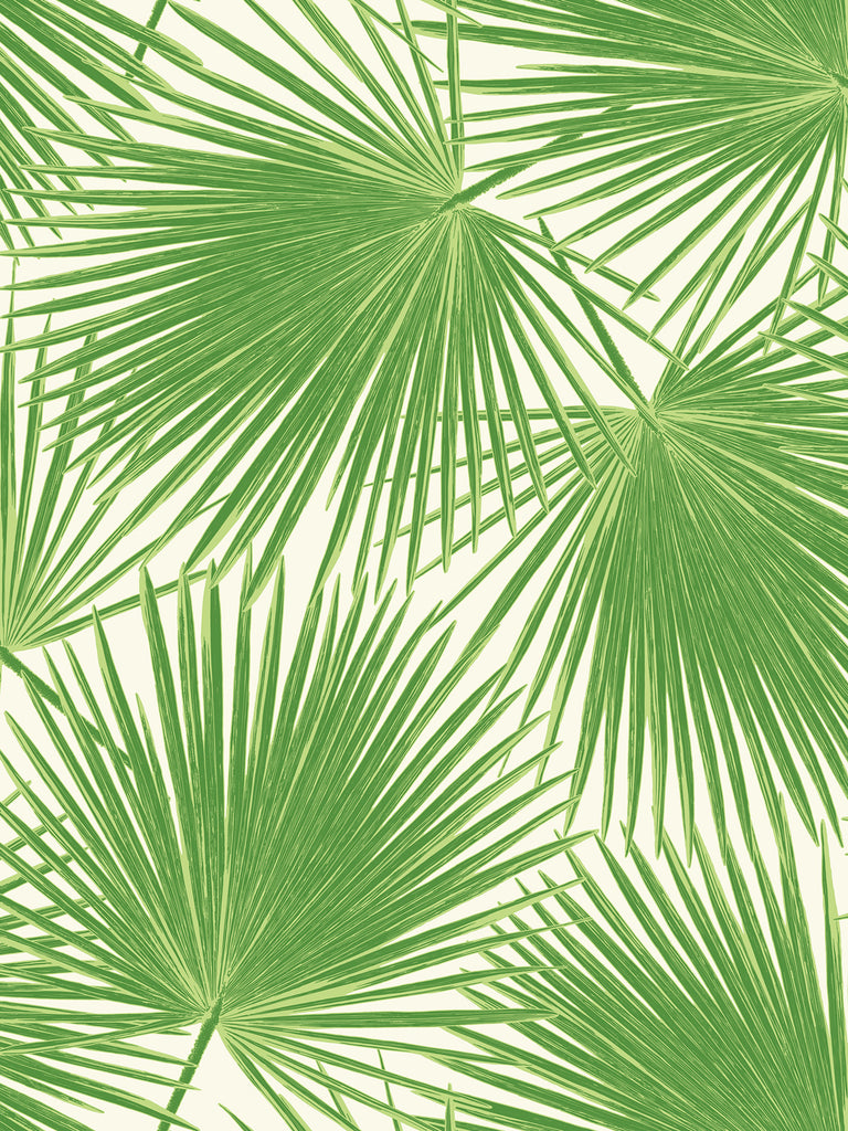 Malibu Aruba Wallpaper - Coastal Palm - Fern Green and White | Malibu Wallpaper