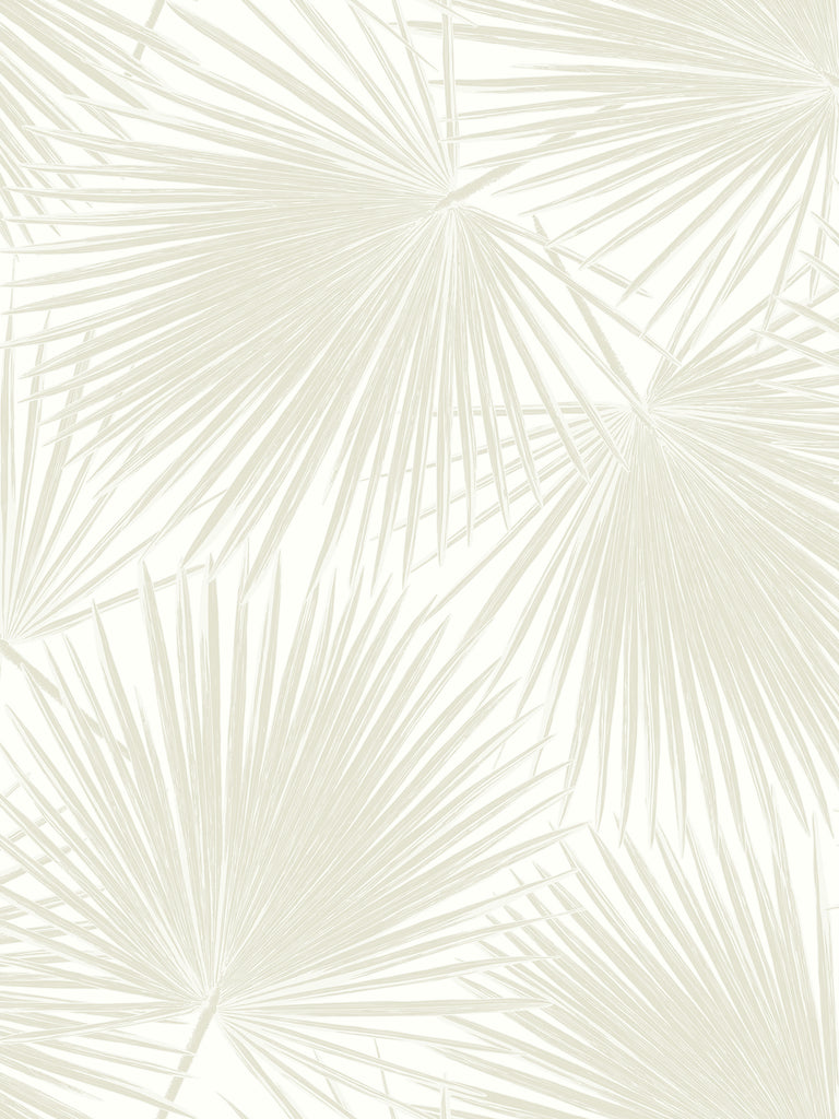 Malibu Aruba Wallpaper - Coastal Palm - Linen and White | Malibu Wallpaper