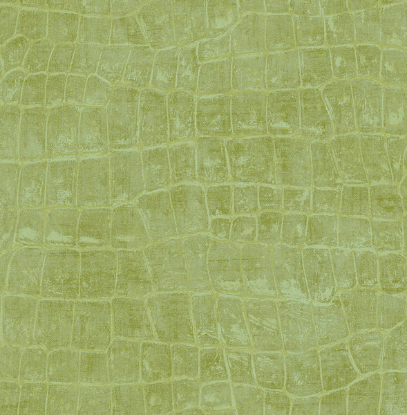 Malibu Curacao Wallpaper - Coastal Animal Print - Apple Green | Malibu Wallpaper