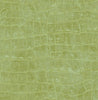 Malibu Curacao Wallpaper - Coastal Animal Print - Apple Green | Malibu Wallpaper