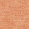 Malibu Curacao Wallpaper - Coastal Animal Print - Rust Orange | Malibu Wallpaper