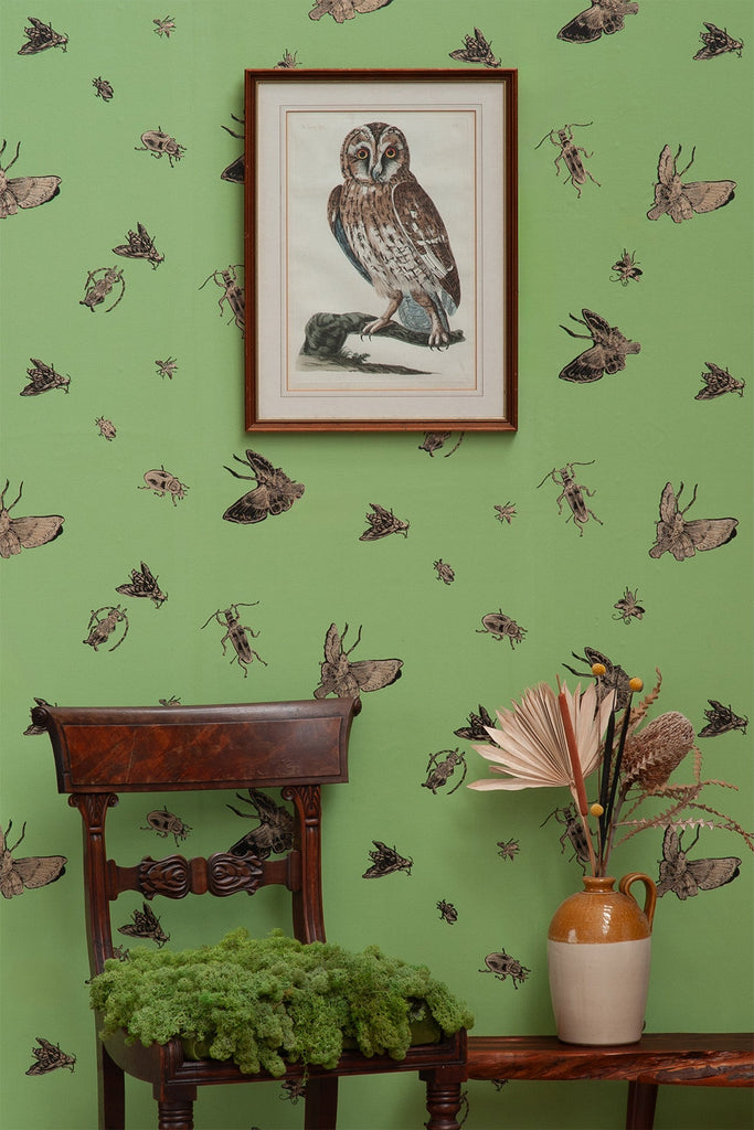 Insect - Hand Printed Gold & Black on Kingsburgh