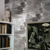 Cloud Toile Greys