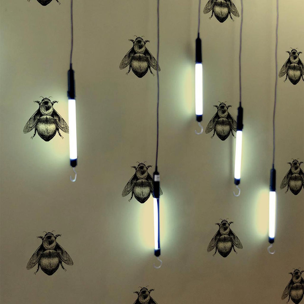 Napoleon Bee Black & Gold on Gold