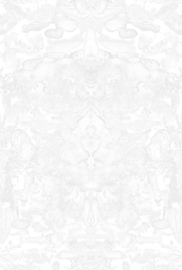 Roller Blotch Chalk White | Timorous Beasties Wallcovering