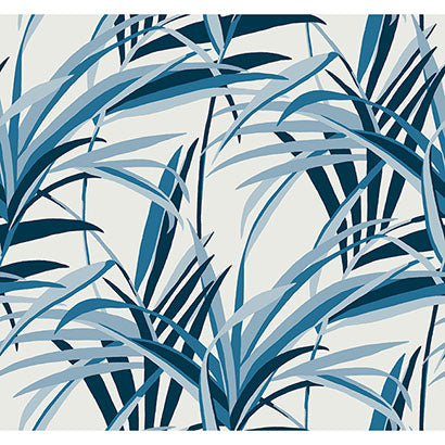 Tropical Paradise Wallpaper | Jeffrey Stevens