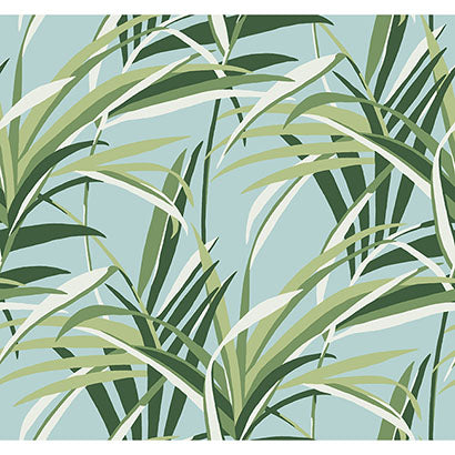 Tropical Paradise Wallpaper | Jeffrey Stevens