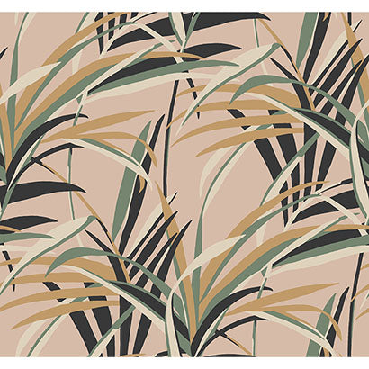 Populonia Blush Wallcovering | Jeffrey Stevens