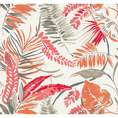 Tropical Toss Wallpaper | Jeffrey Stevens