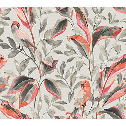 Tropical Love Birds Wallpaper | Jeffrey Stevens
