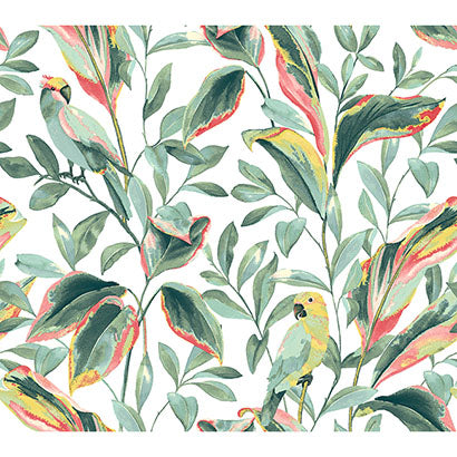 Tropical Love Birds Wallpaper | Jeffrey Stevens