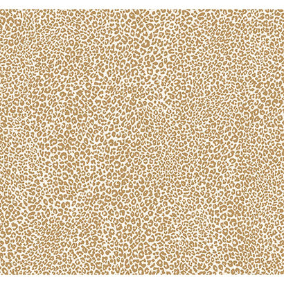 Leopard King Wallpaper | Jeffrey Stevens