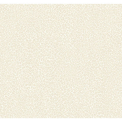 Leopard King Wallpaper | Jeffrey Stevens