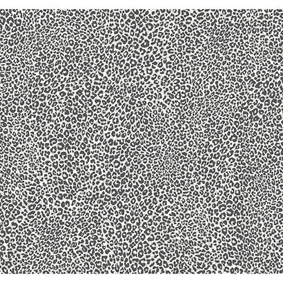 Leopard King Wallpaper | Jeffrey Stevens