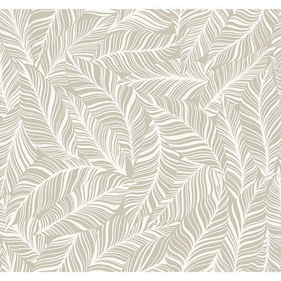 Rainforest Canopy Wallpaper | Jeffrey Stevens