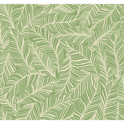 Rainforest Canopy Wallpaper | Jeffrey Stevens