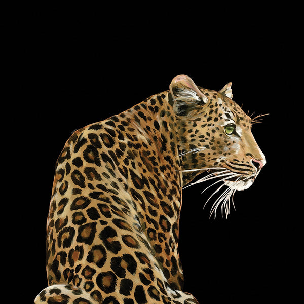 Leopardo Solo Mural Alessio By Dolce & Gabbana