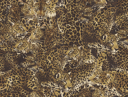 Leopardo Incognito Alessia By Dolce & Gabbana Wallcovering