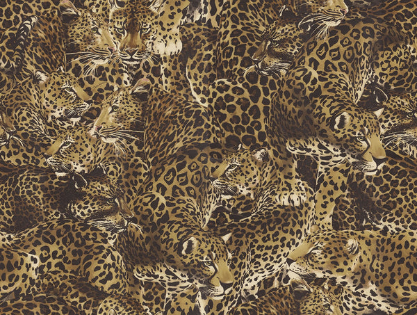 Leopardo Incognito Alessia By Dolce & Gabbana Wallcovering