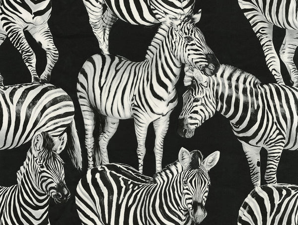 Zebra Romance Contrasto By Dolce & Gabbana Wallcovering