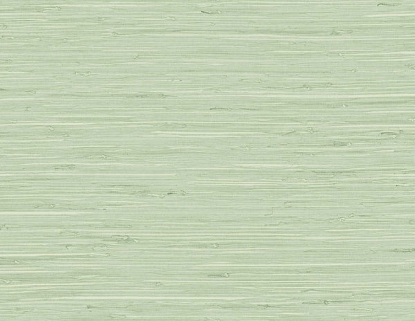 Malibu Marion Faux Arrowroot Wallpaper - Contemporary Faux Grasscloth - Frosted Grass