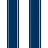 Sinus Navy, Roll Vinyl