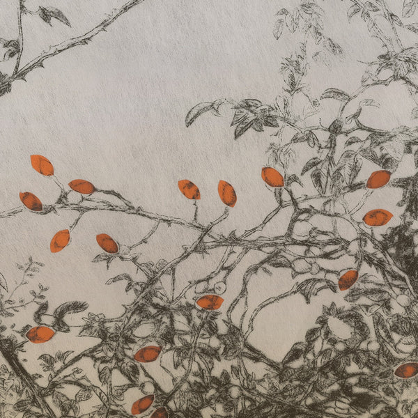 La Tarato Trellis Honeysuckle Wallpaper | Phillipe Romano