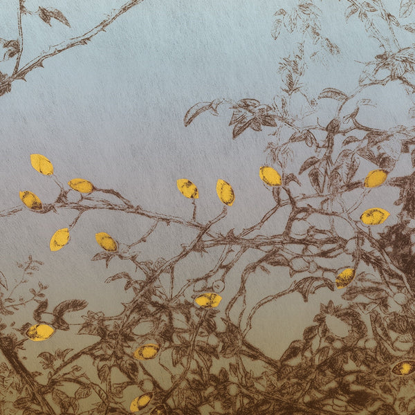 La Tarato Trellis Jasmine Wallpaper | Phillipe Romano